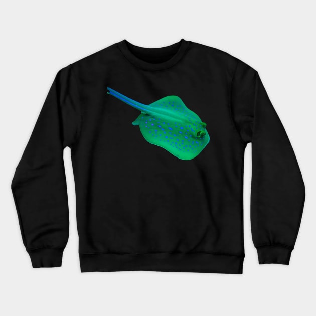 STINGRAY Crewneck Sweatshirt by likbatonboot